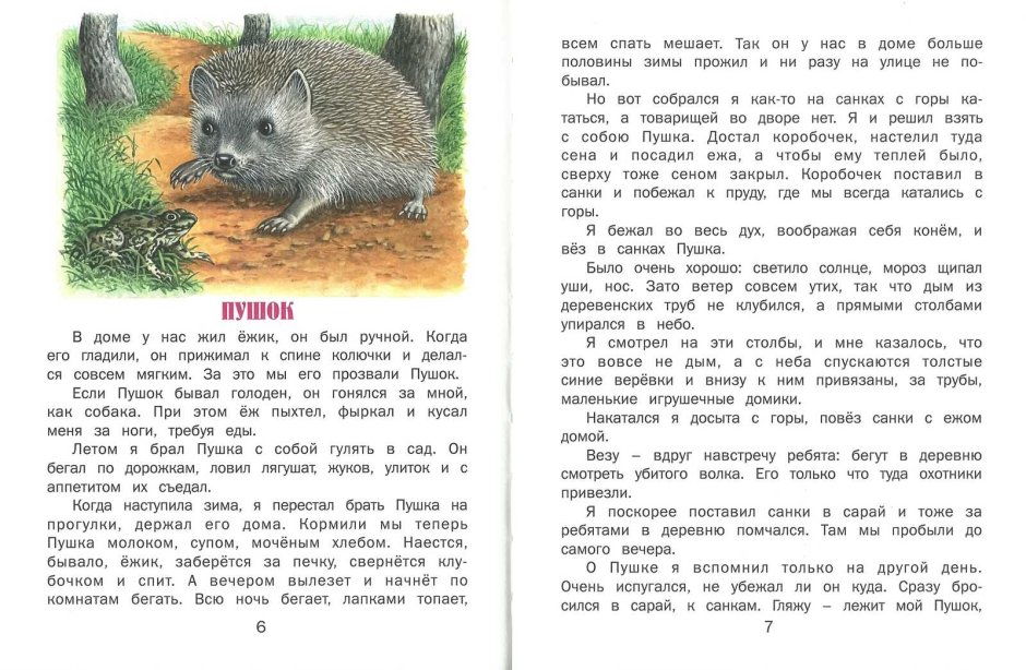 Сказочный домик ежика