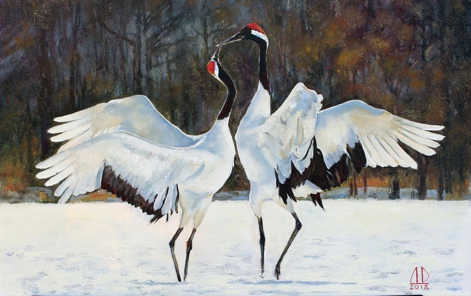 Танец журавлей Стерхов