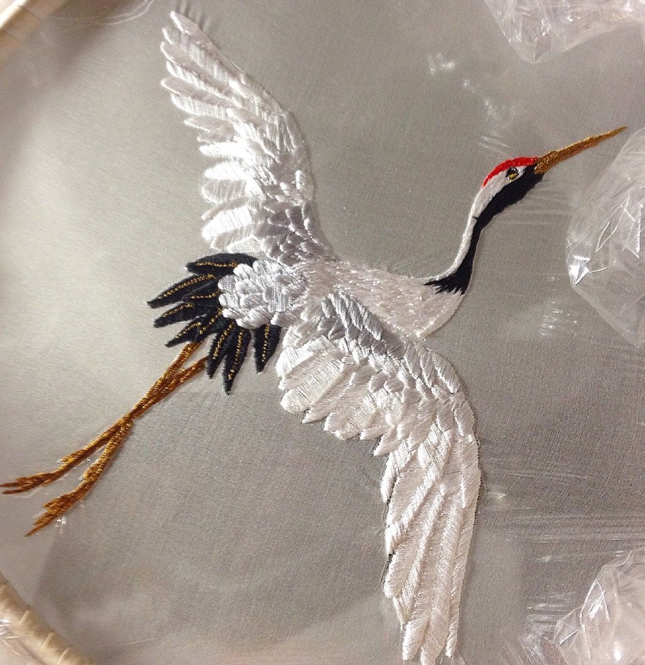 Цапля анатомия