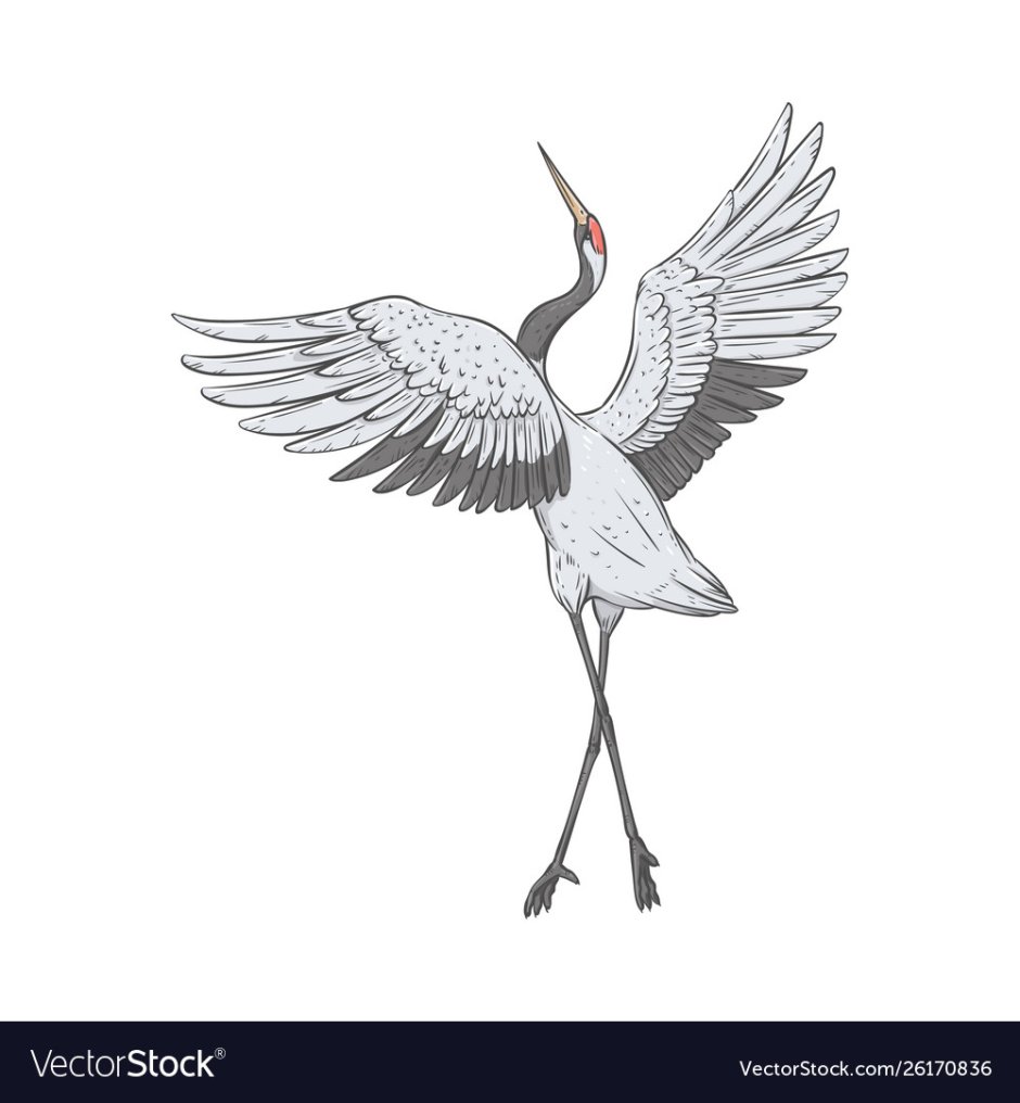 Журавль стоящий на одной ноге силуэт