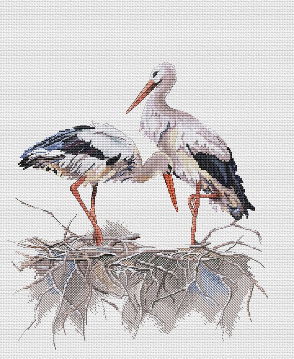 Журавль венценосный (Balearica Pavonina)