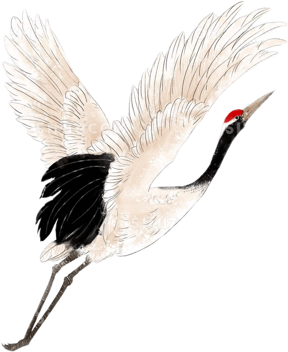 Восточный венценосный журавль Balearica regulorum