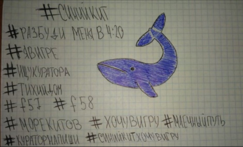 Отделы тела кита