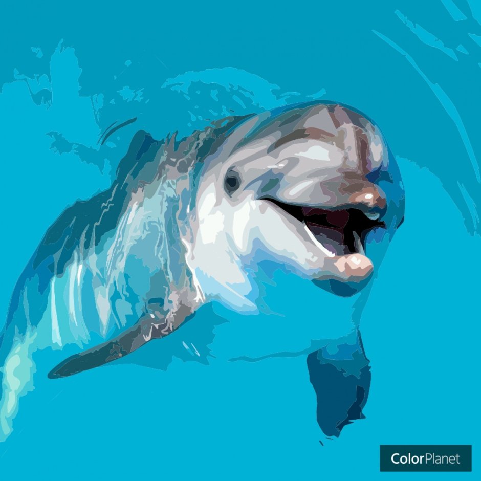 Спящие дельфины