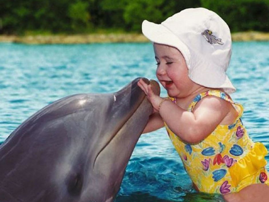 Синий кит тихий дом море китов