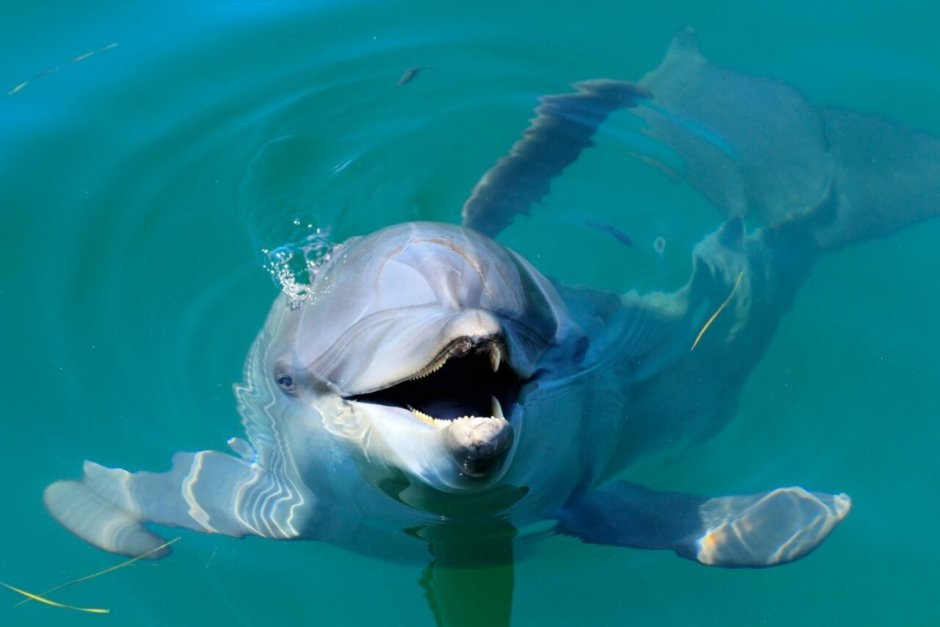 Морские пожелания спокойной ночи