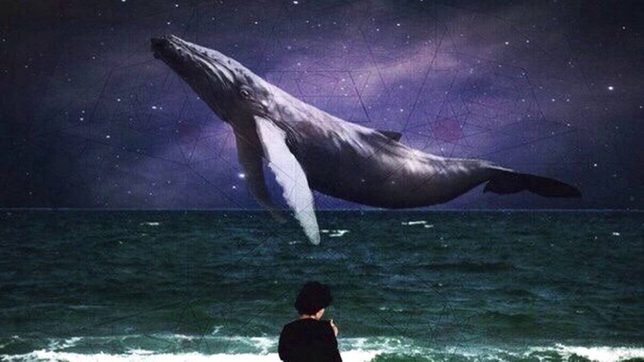 Владимир Путин с дельфинами