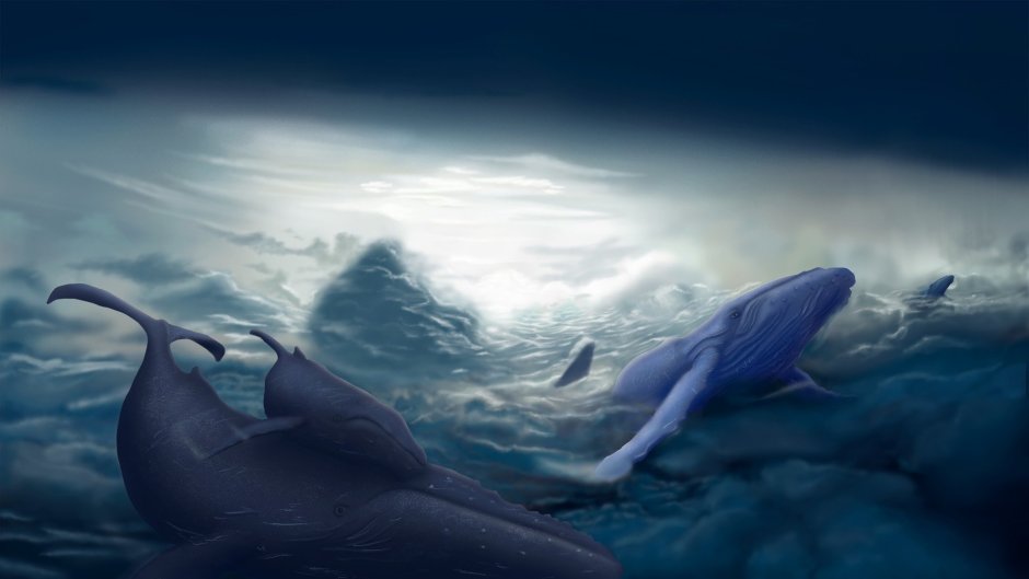 Лазурный берег с дельфинами