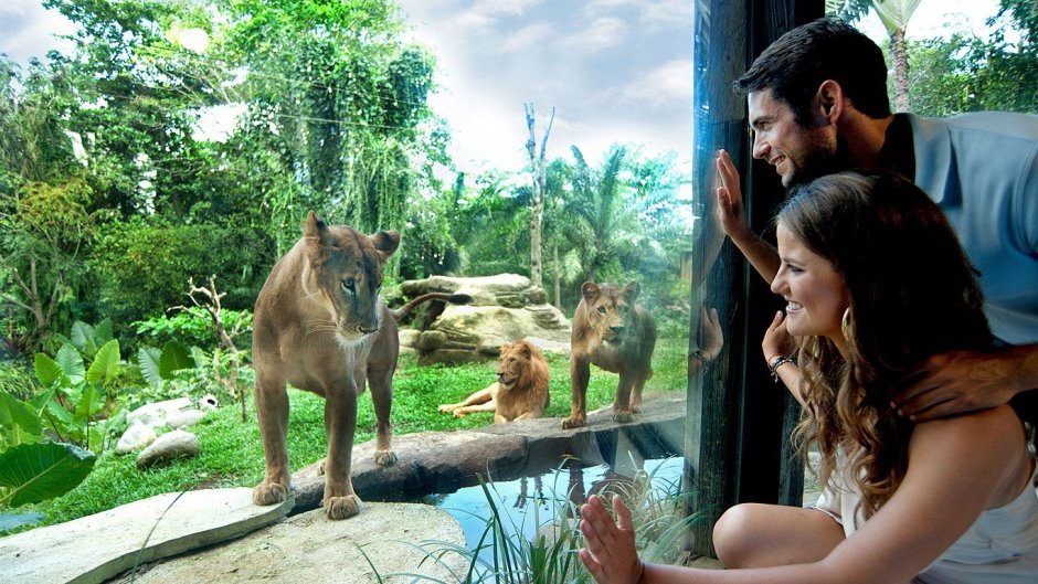 Зоопарк Бали Bali Zoo