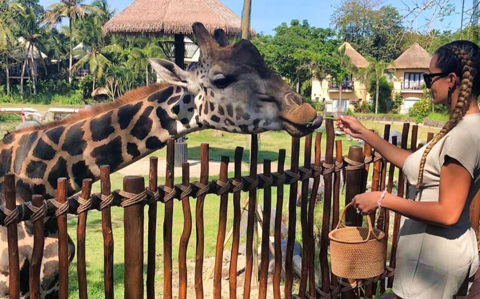 Safari Park Bali