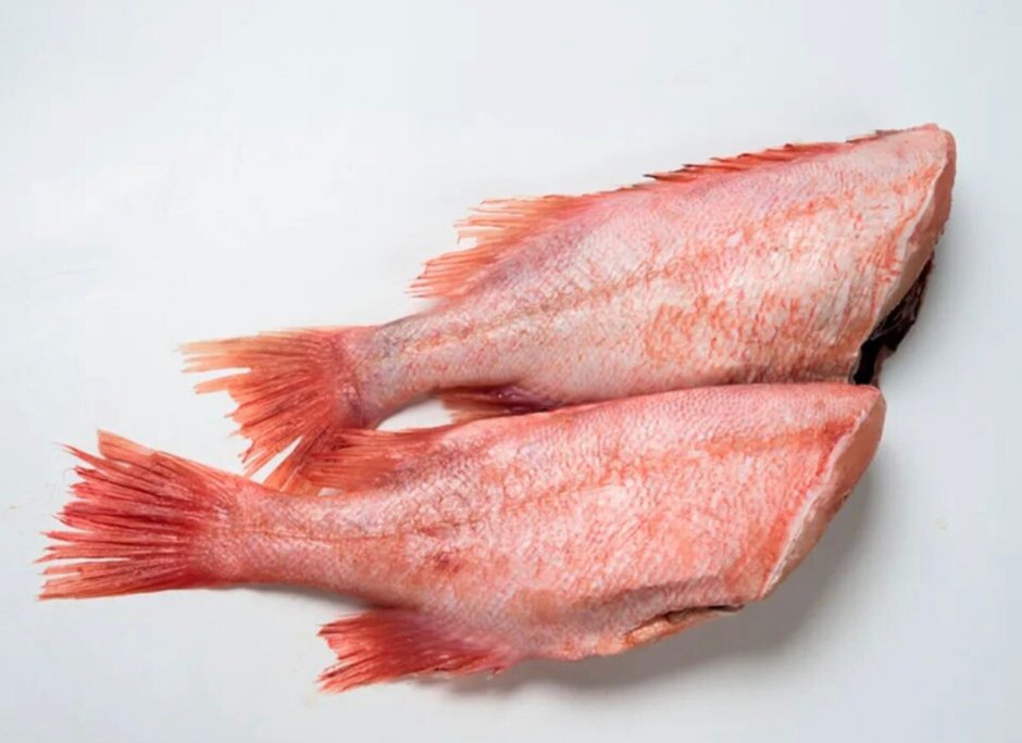 Rockfish рыба