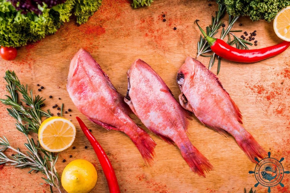 Клюворылый морской окунь