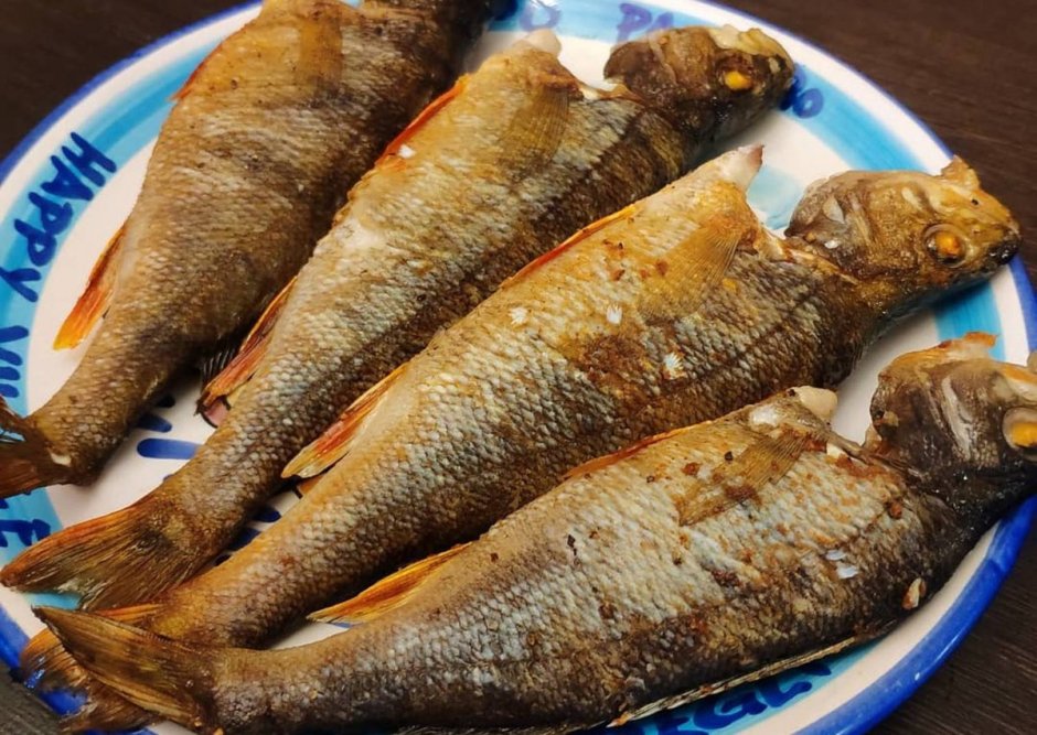 Размер окуня по годам