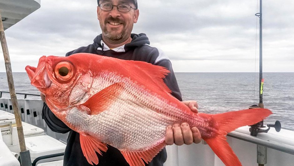 Окунь морской клювач