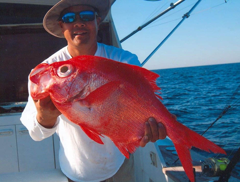 Низкотелый берикс