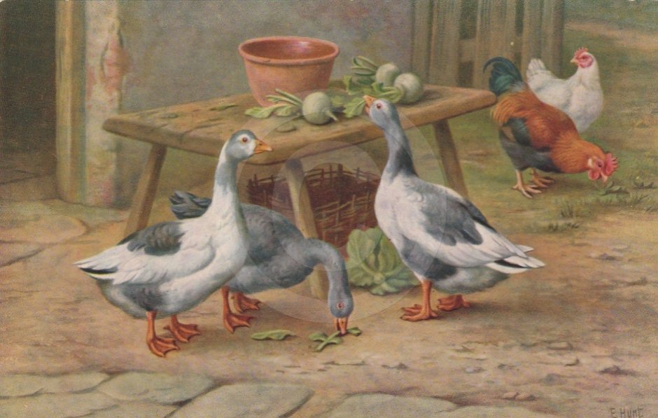 Гусь с руками