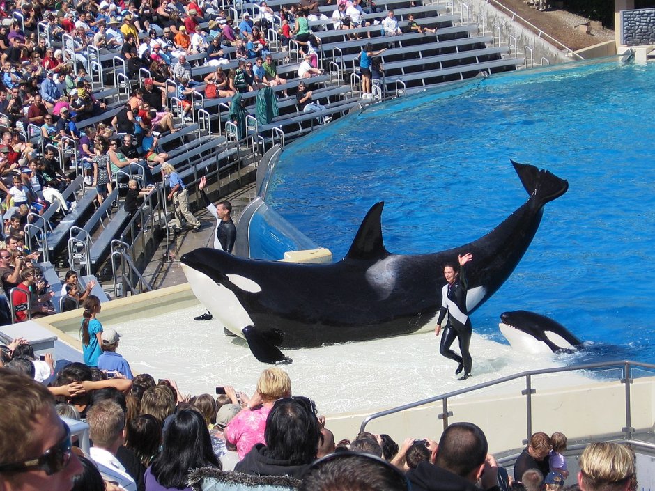 SEAWORLD Сан-Антонио
