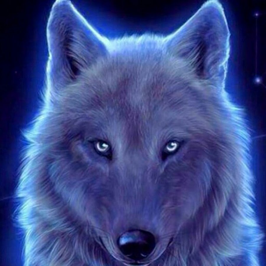Синий волк