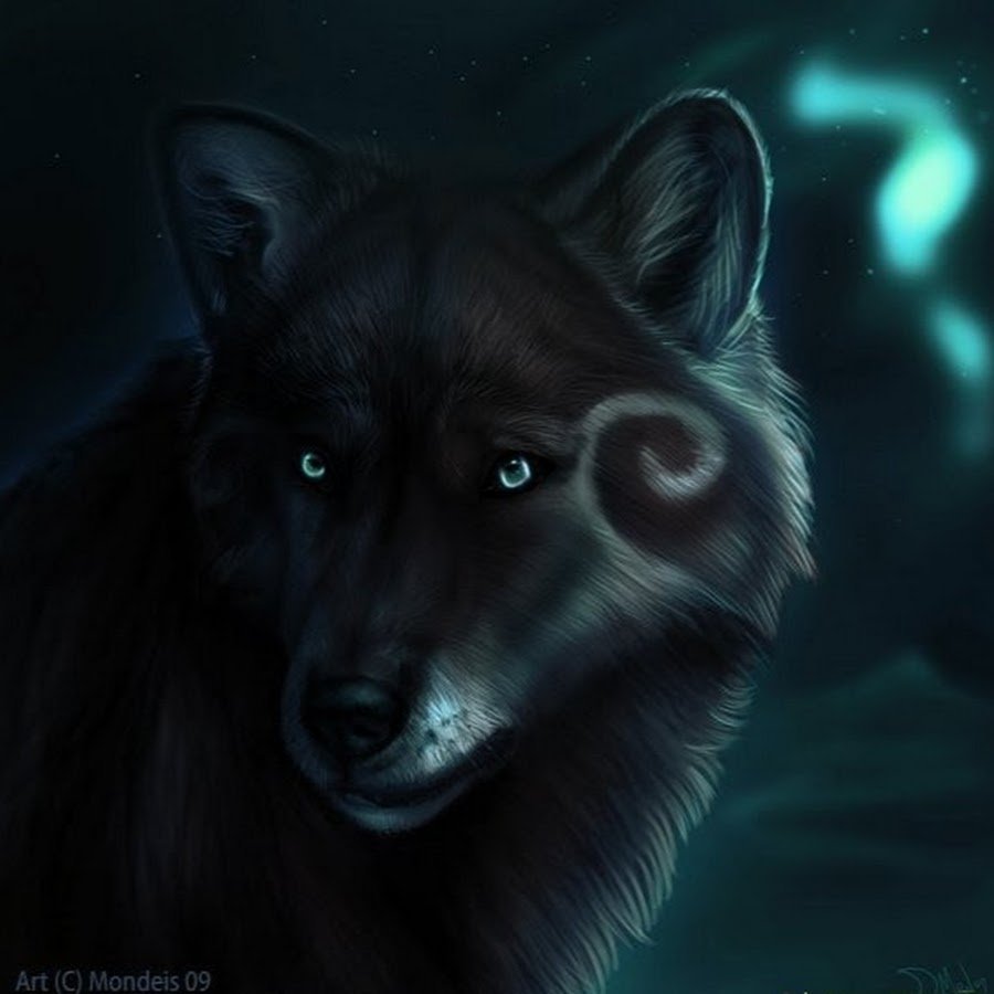 Черный волк с голубыми глазами