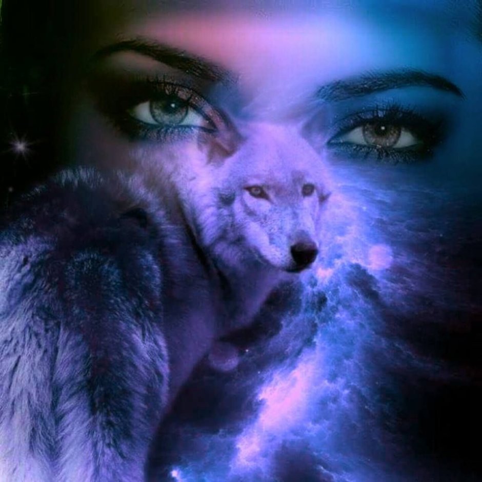 Цвет глаз у собак