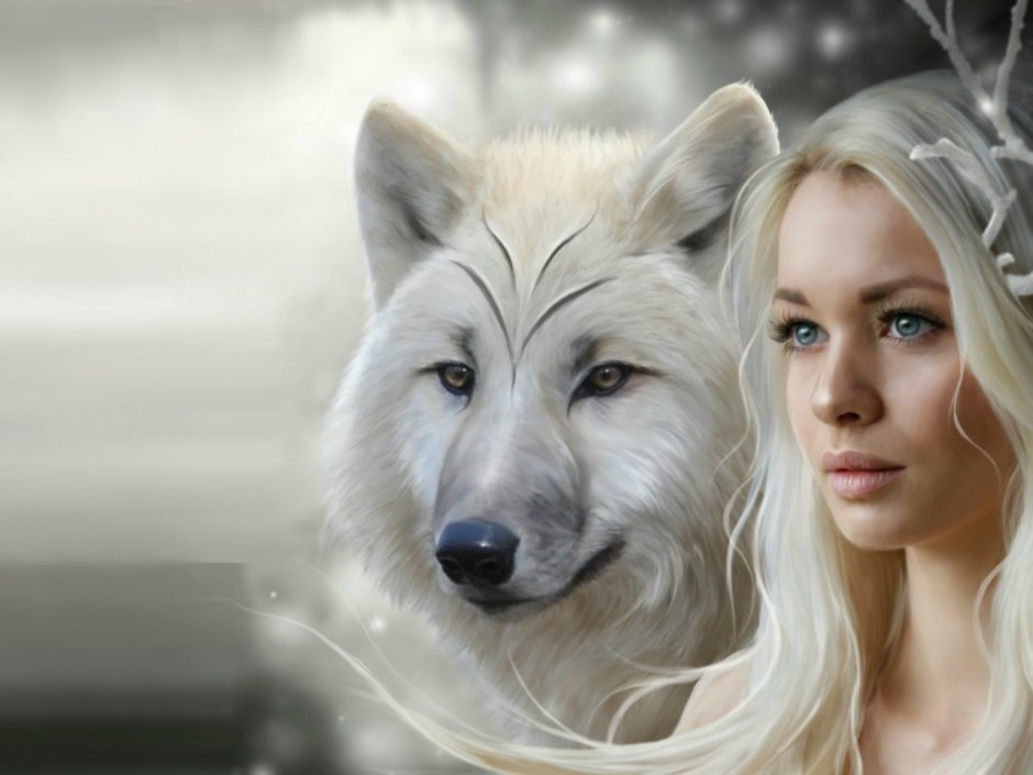 Черный волк с голубыми глазами