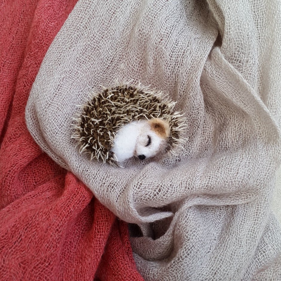 Ежик с ежатами