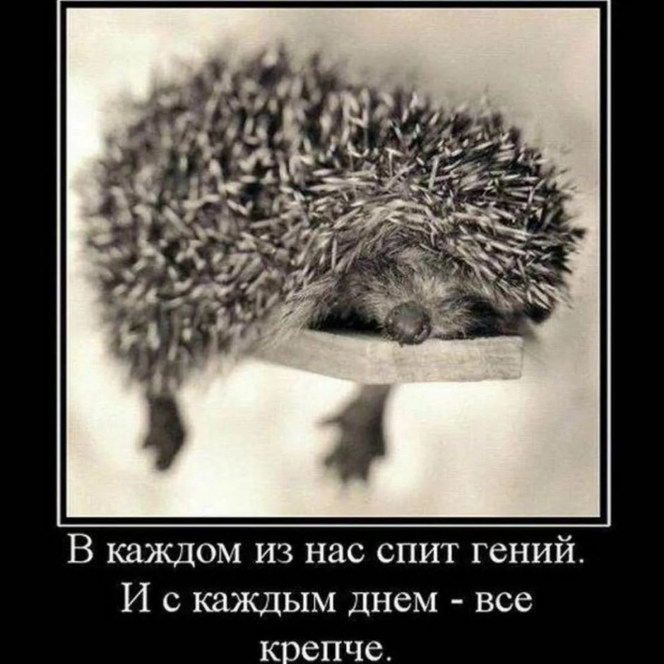 Anna Chernyshova иллюстратор