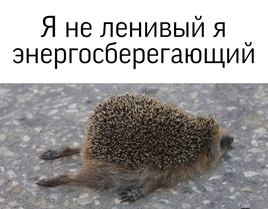 Спокойной ночи Ежик