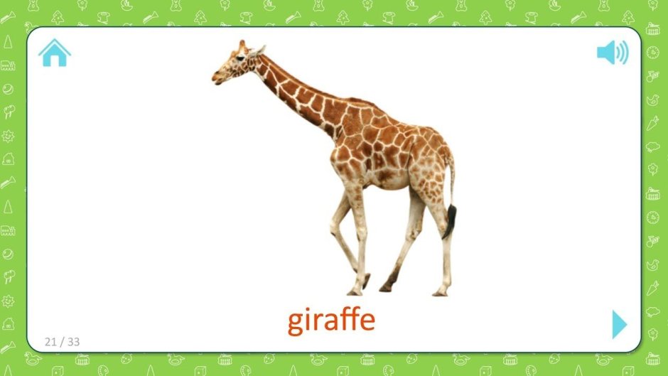 Giraffe английский для детей карточки