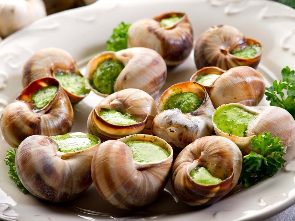 Ракушки Филиппины