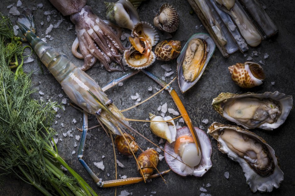 Cockles моллюск