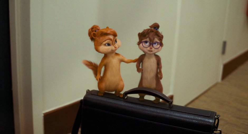 Бурундушки Британи в Нижнем