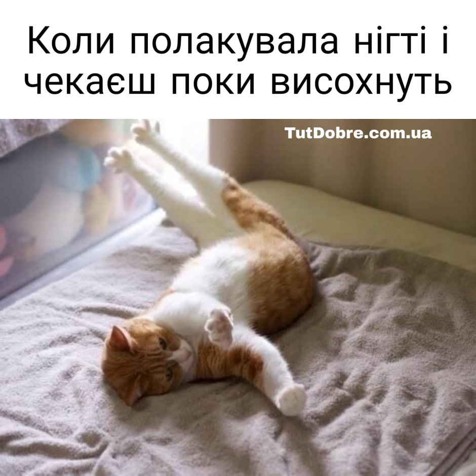Утро потягушки