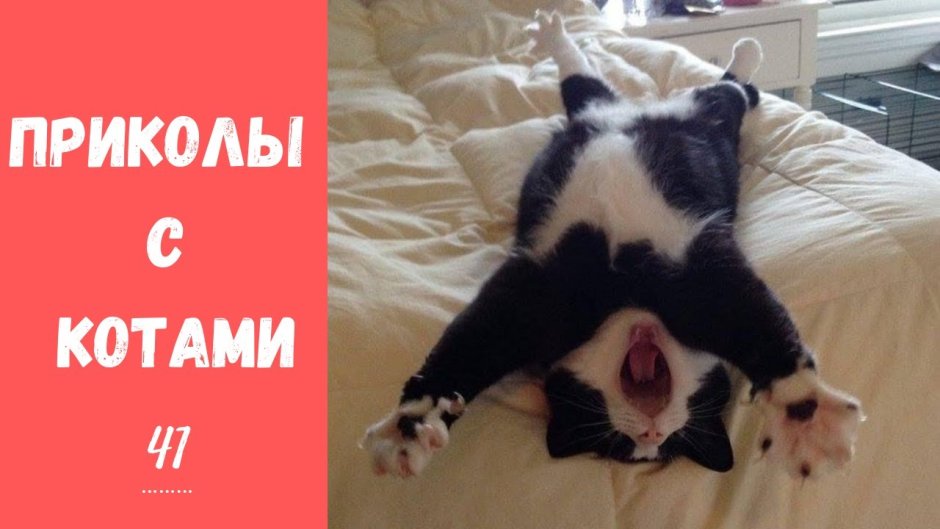 Утренние потягушки
