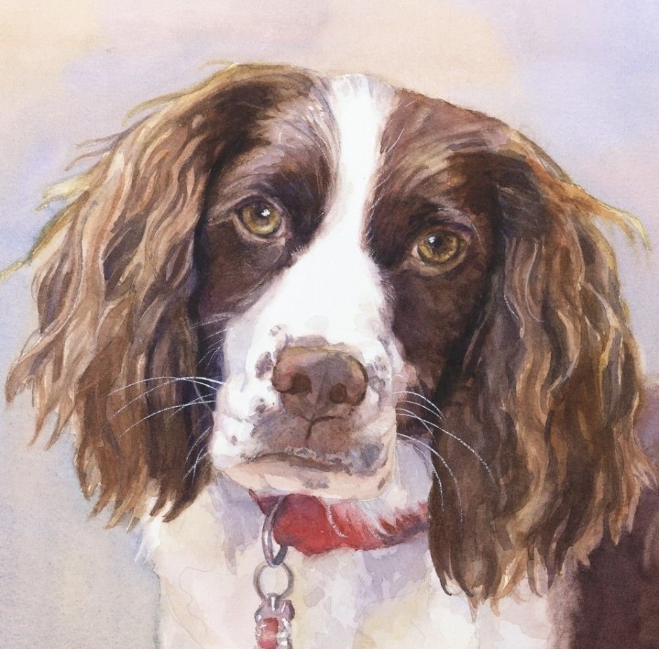 ‘Monkeys and Spaniels playing’