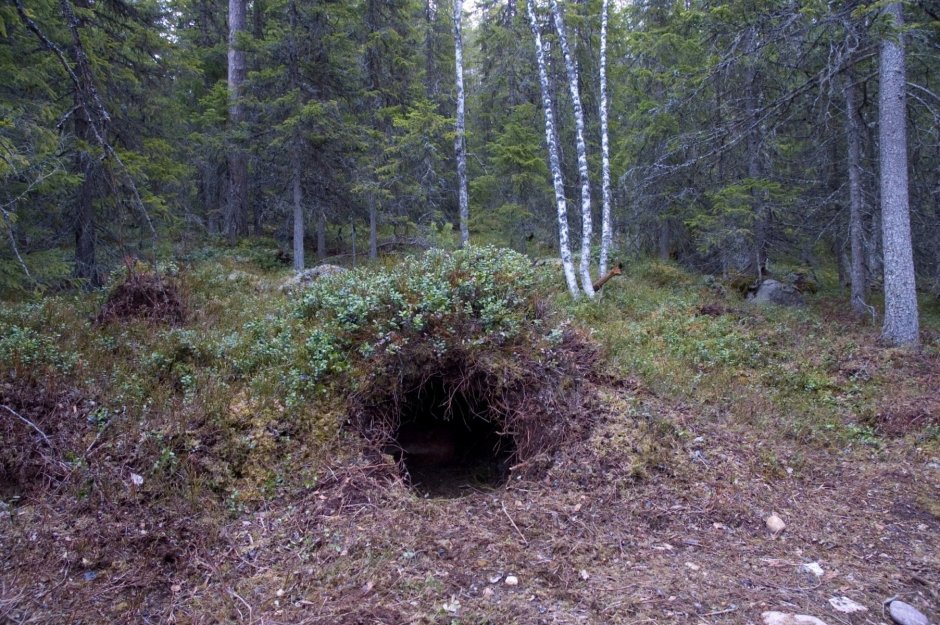 Волчья Нора в разрезе