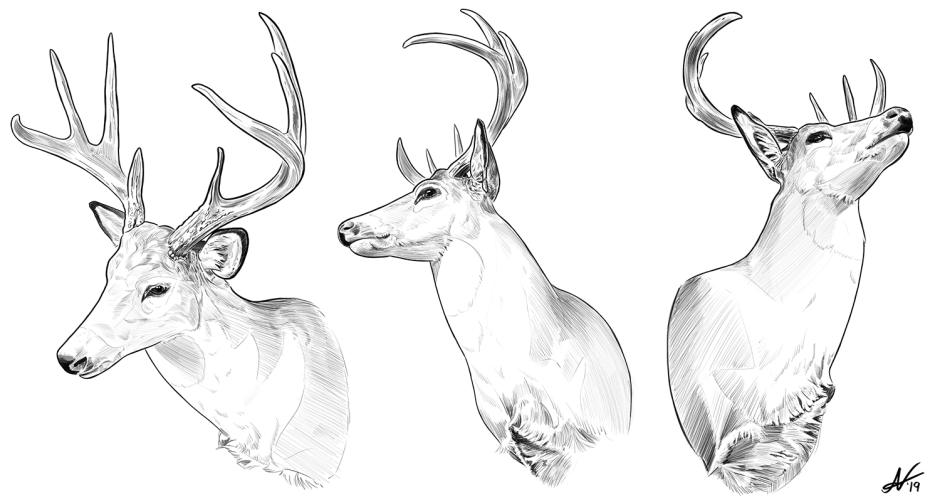 Сказочный олень