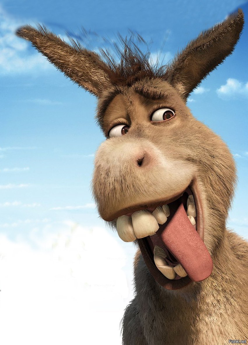 Шрек мультфильм осел