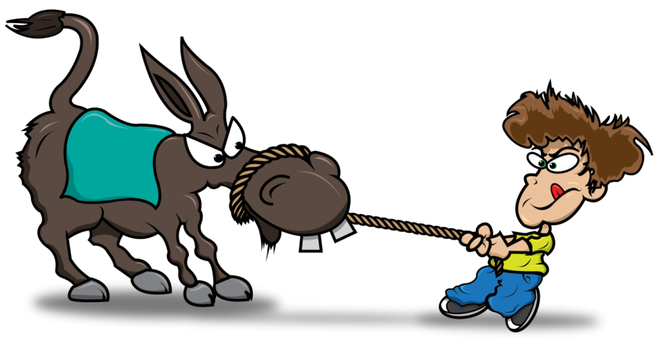 Упрямый ослик