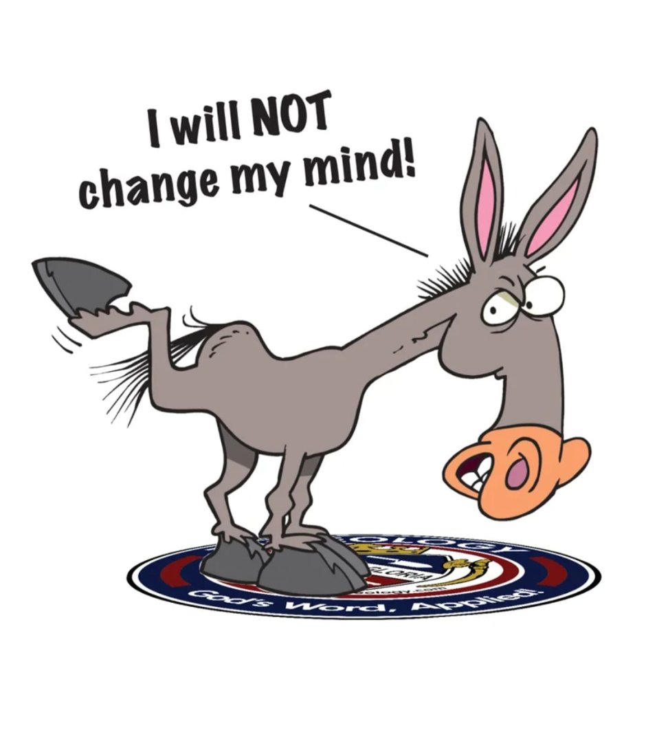 Упрямый ослик