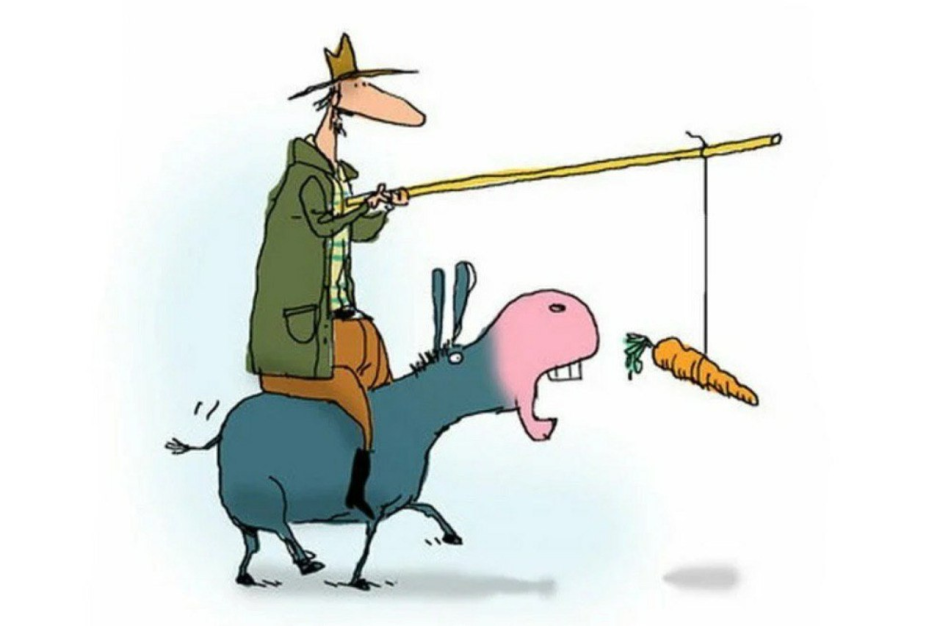 Ослик бежит за морковкой