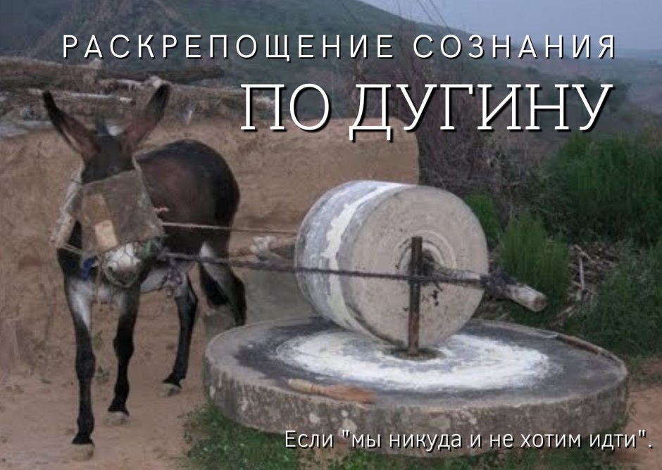 Наклейка ослик