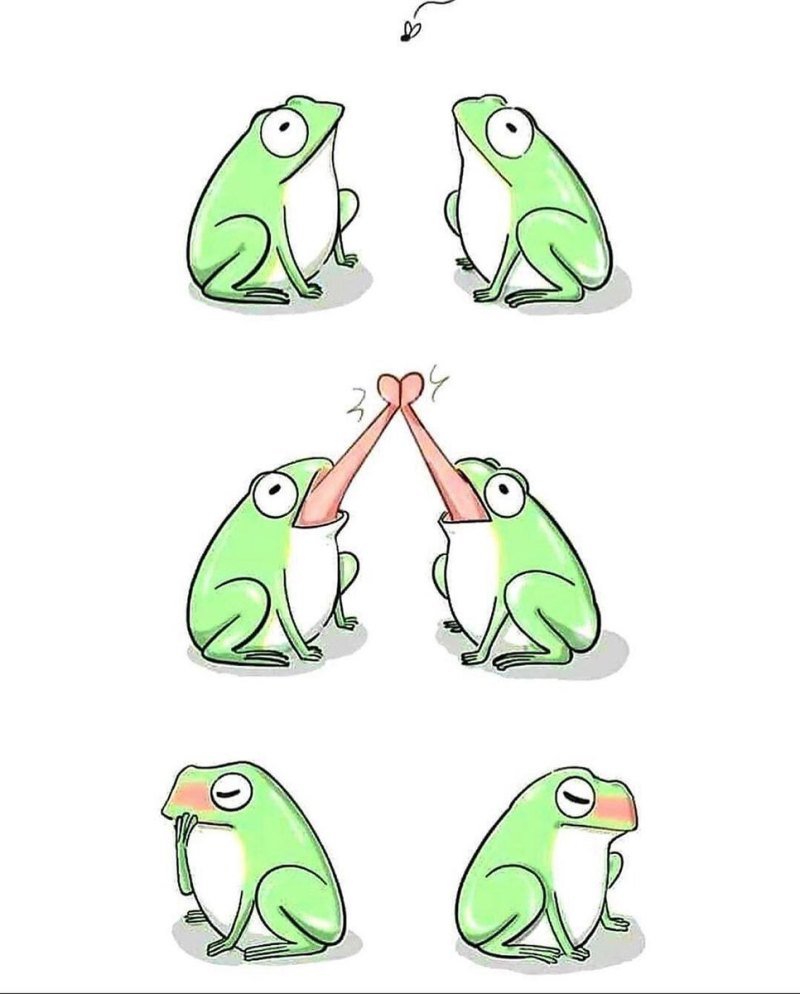 Лягушка в лесу