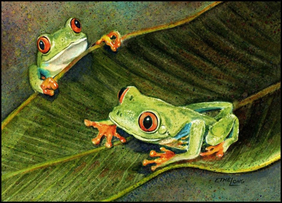 Лягушка искусство
