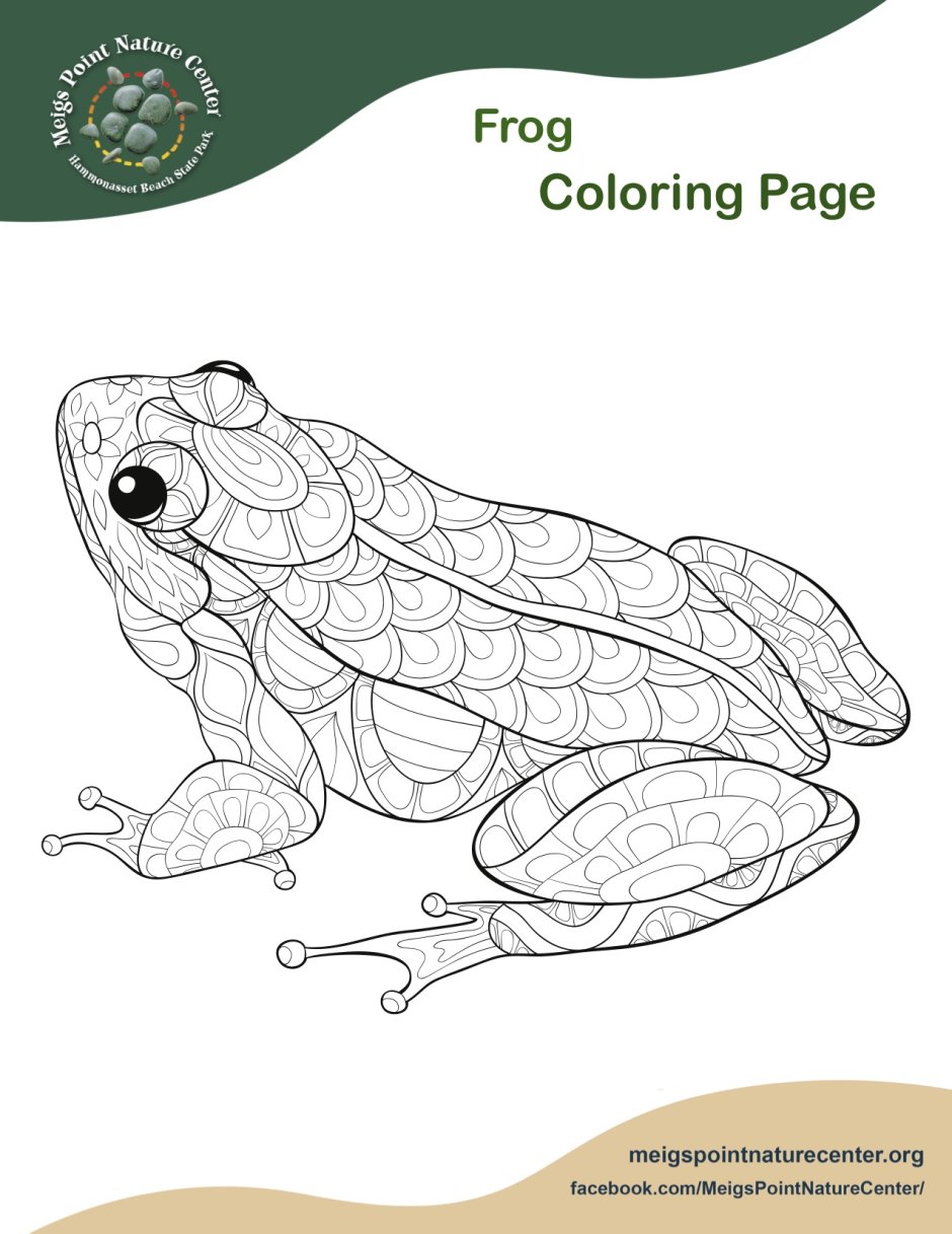 Орнамент лягушка раскраска