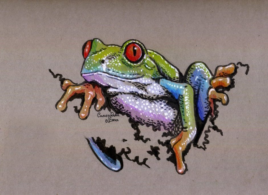 Веселая лягушка