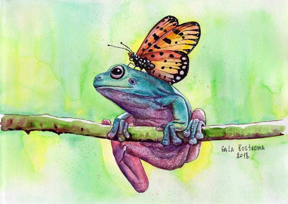 Царевна лягушка акварель