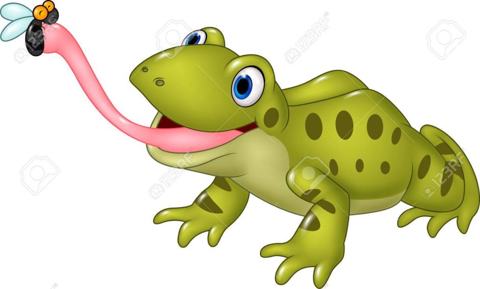 Лягушка в цветах