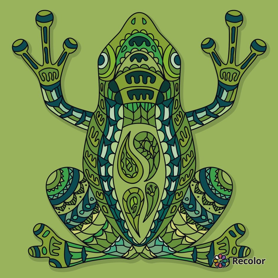 Лягушка Макросъемка