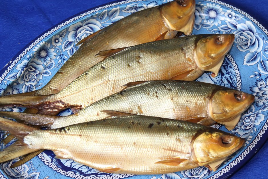 Пелядь и омуль